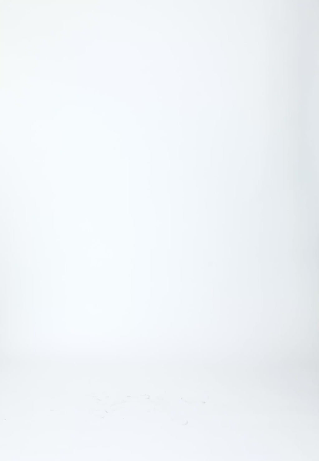 Coster Copenhagen PHOEBE LANG NEDERDEL Skirt Sand - 307