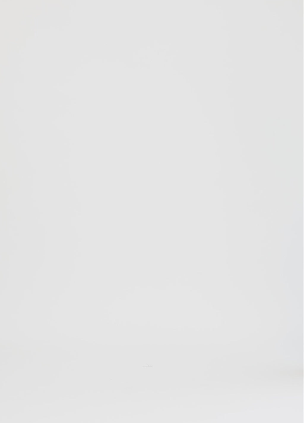 Coster Copenhagen T-SHIRT MED RHINSTEN Shirt/Blouse White - 200