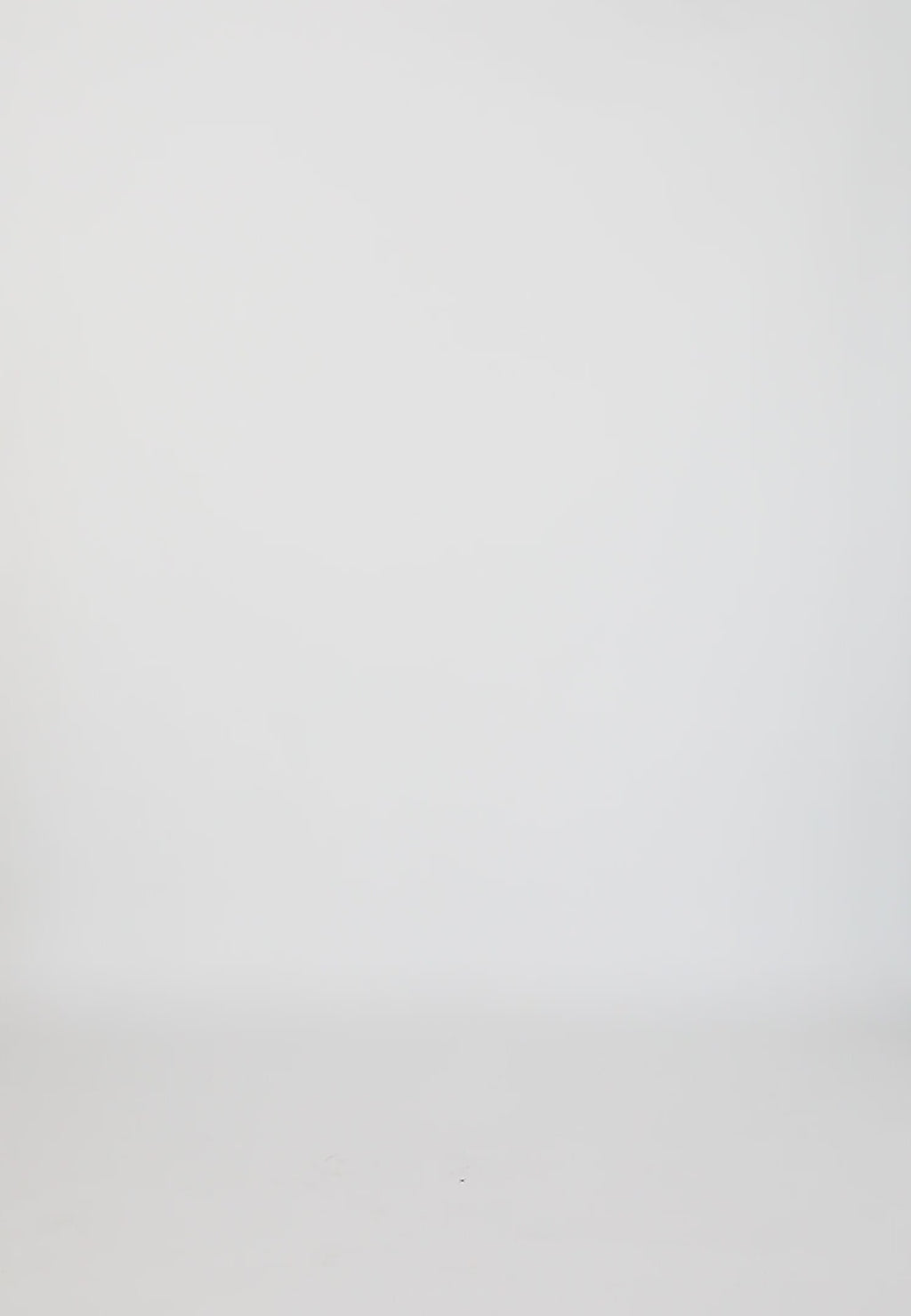 Coster Copenhagen JAKKE MED BRODERI Blazer Pearl - 263