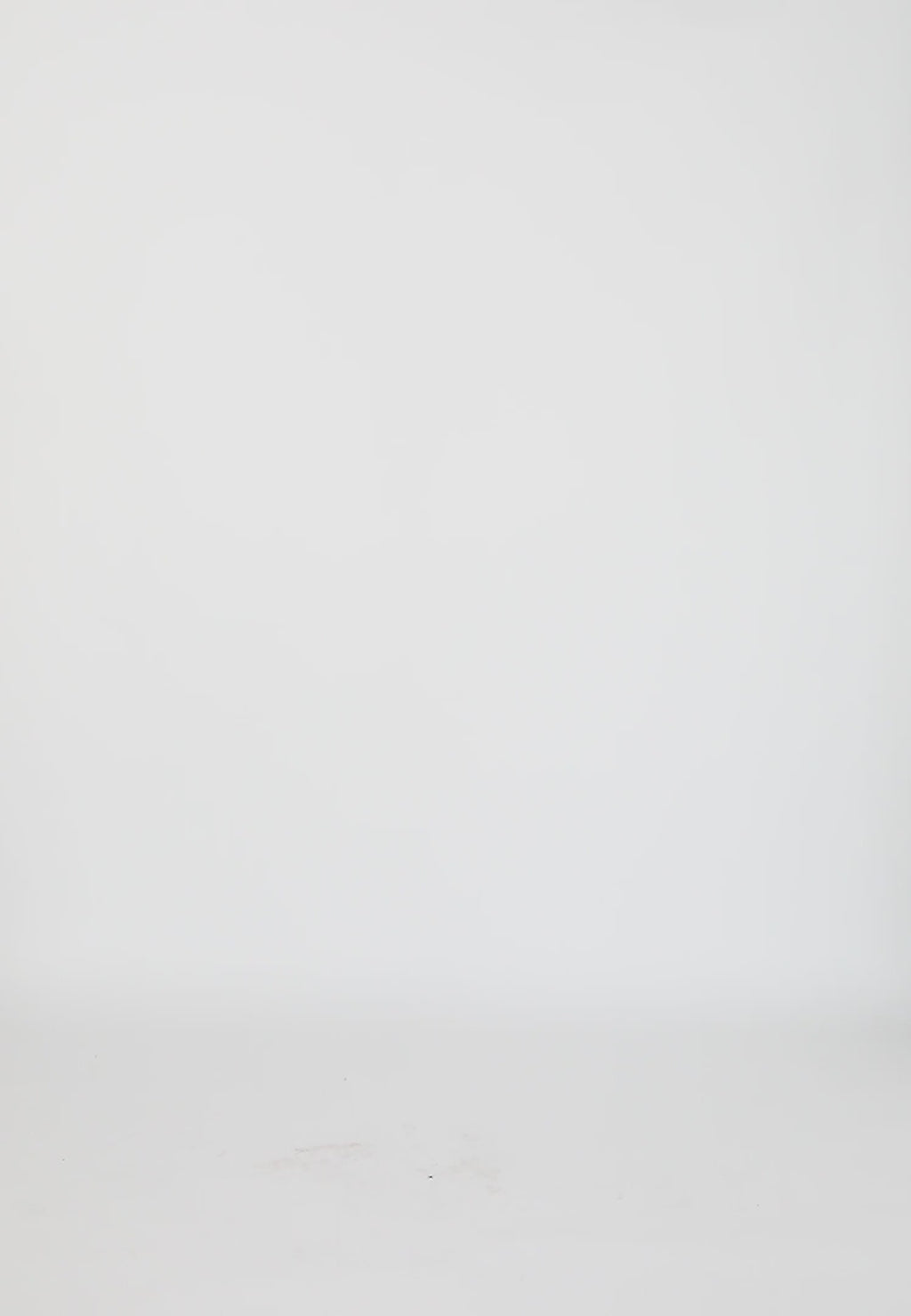 Coster Copenhagen NEDERDEL I BRODERIE ANGLAISE Skirt Black - 100