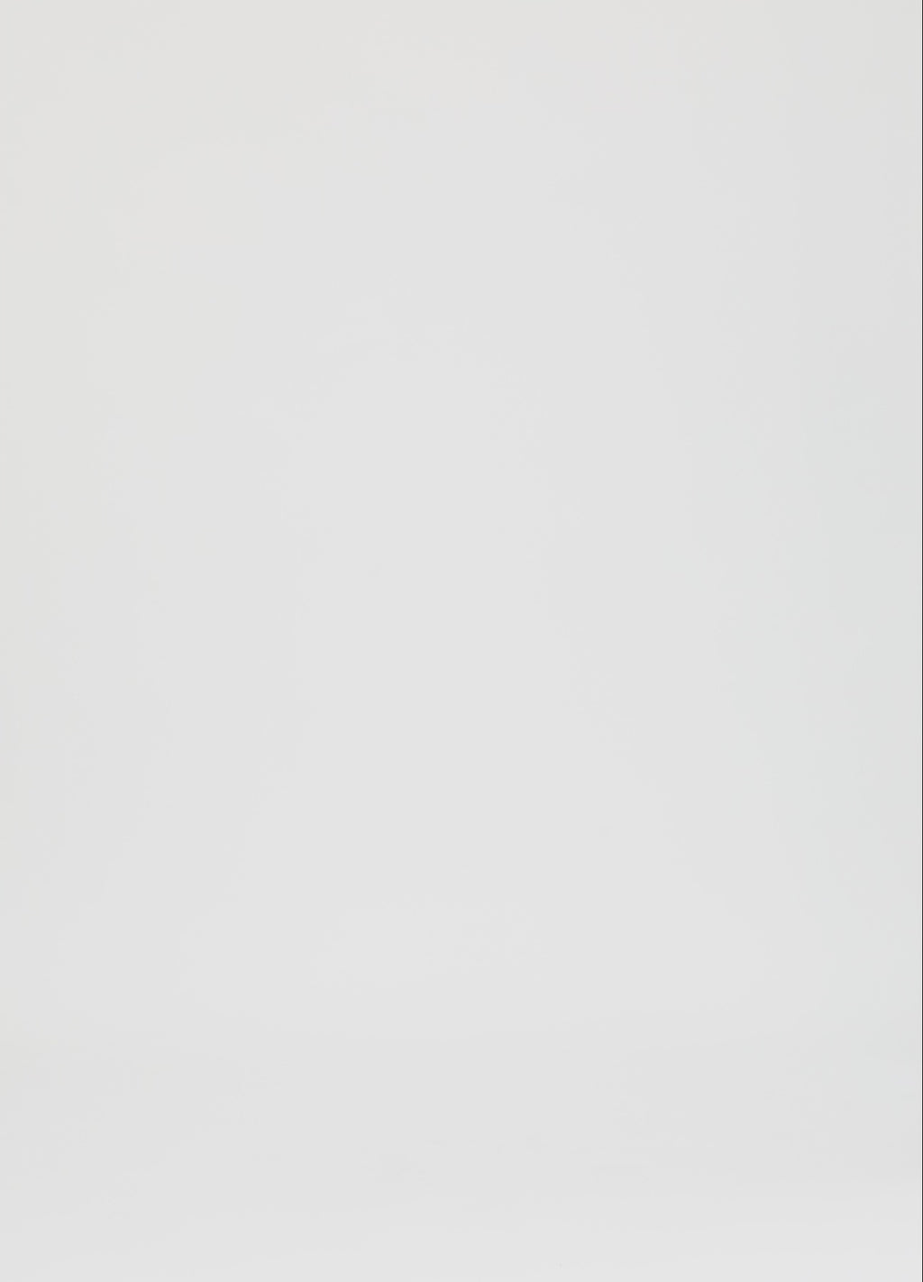 Coster Copenhagen LÆDERNEDERDEL Skirt Bordeaux - 653