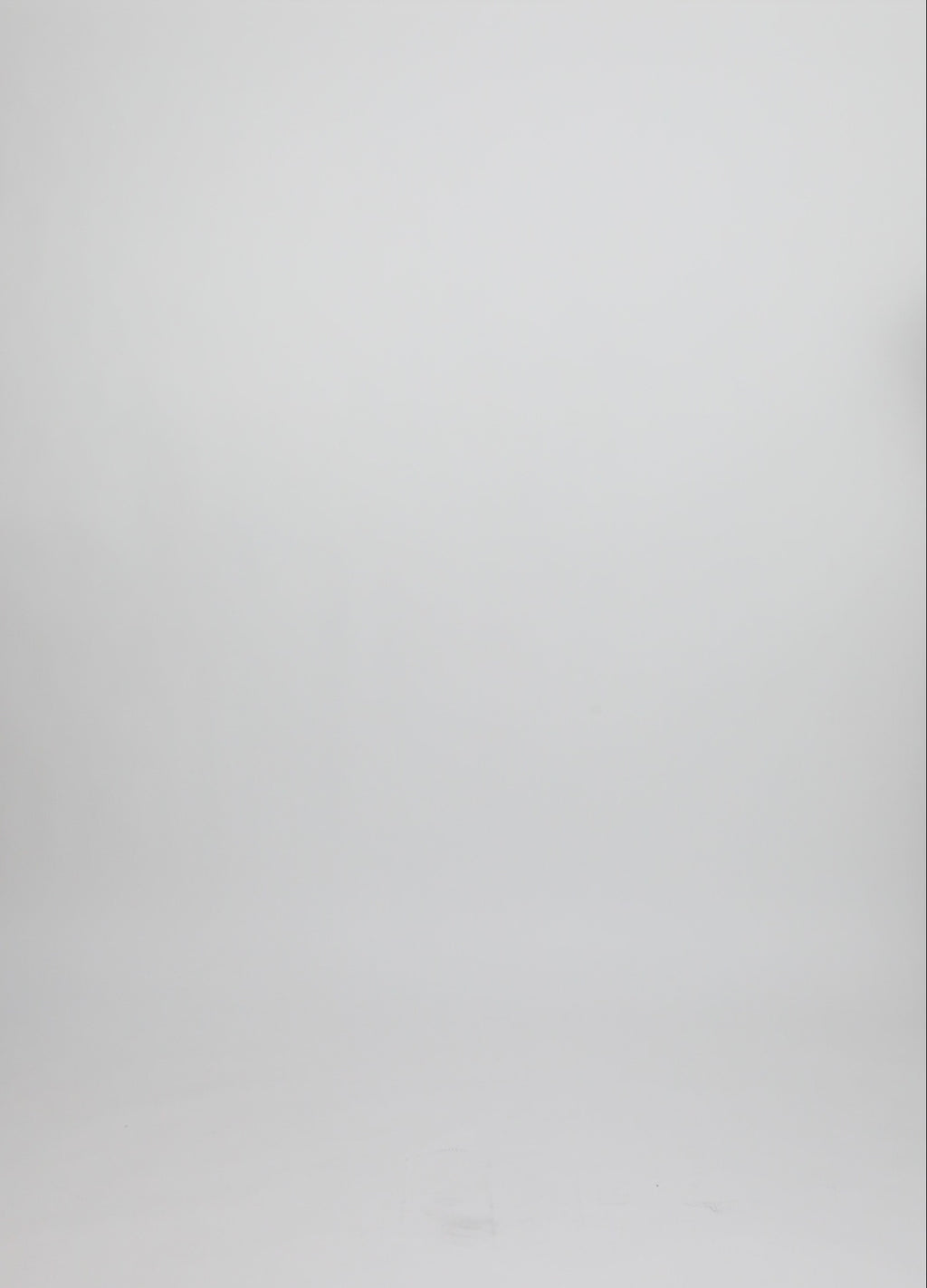 CC Heart CC HEART HAZEL FLÆSESKJORTE Shirt/Blouse Creme - 241