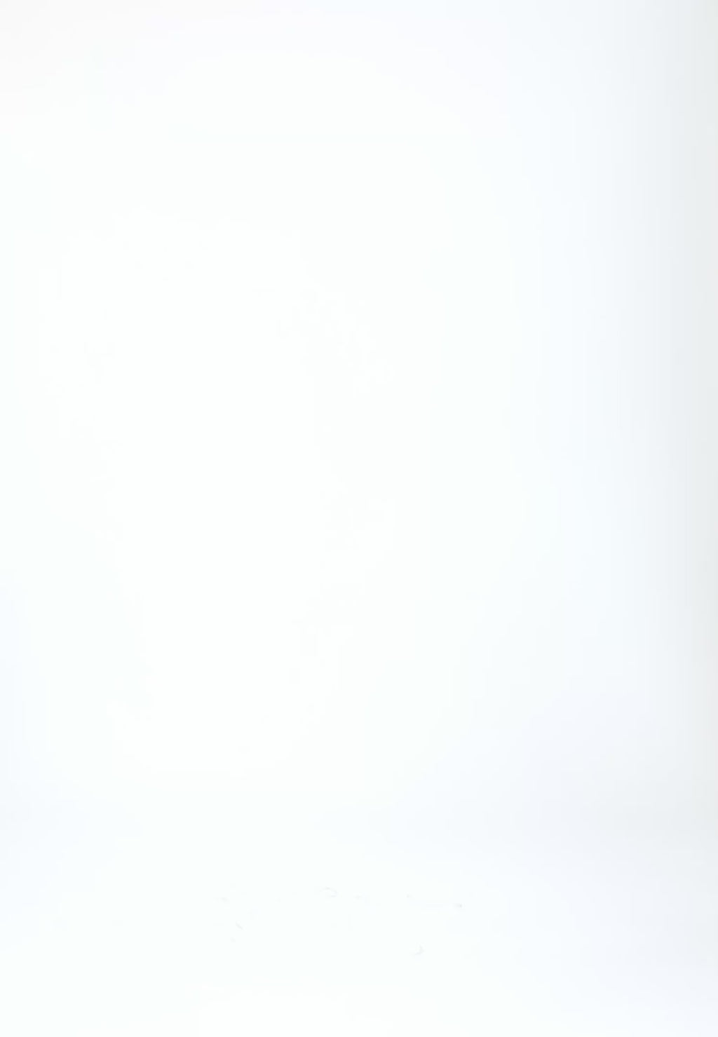 Coster Copenhagen LOGO ELASTIKBÆLTE Accessories Mocca mousse - 387 (gold buckle)