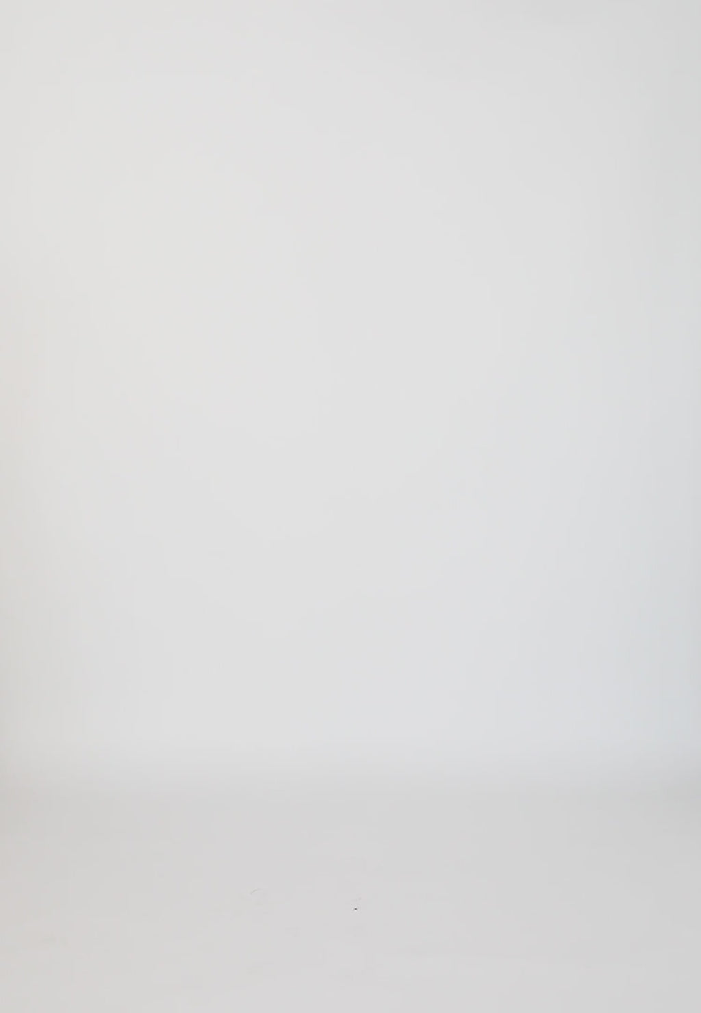 Coster Copenhagen TOP MED FLÆSER Shirt/Blouse White - 200