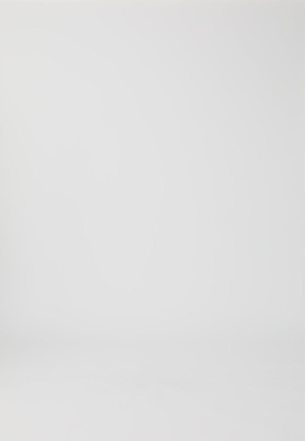 Coster Copenhagen Klassisk skjorte - tern Shirt/Blouse Creme/ bordeaux check - 613