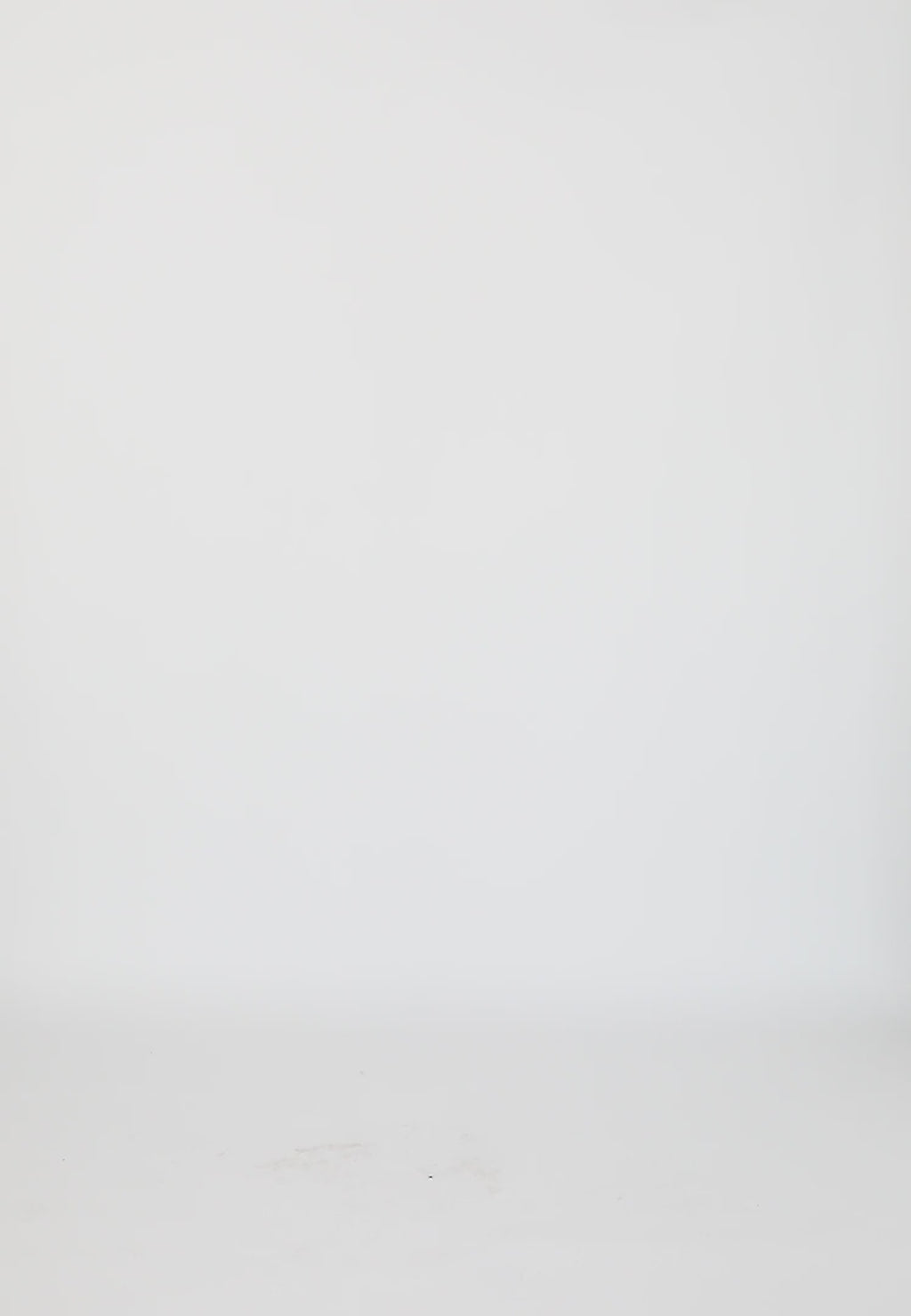 Coster Copenhagen LEO HJERTE T-SHIRT T-Shirt White - 200