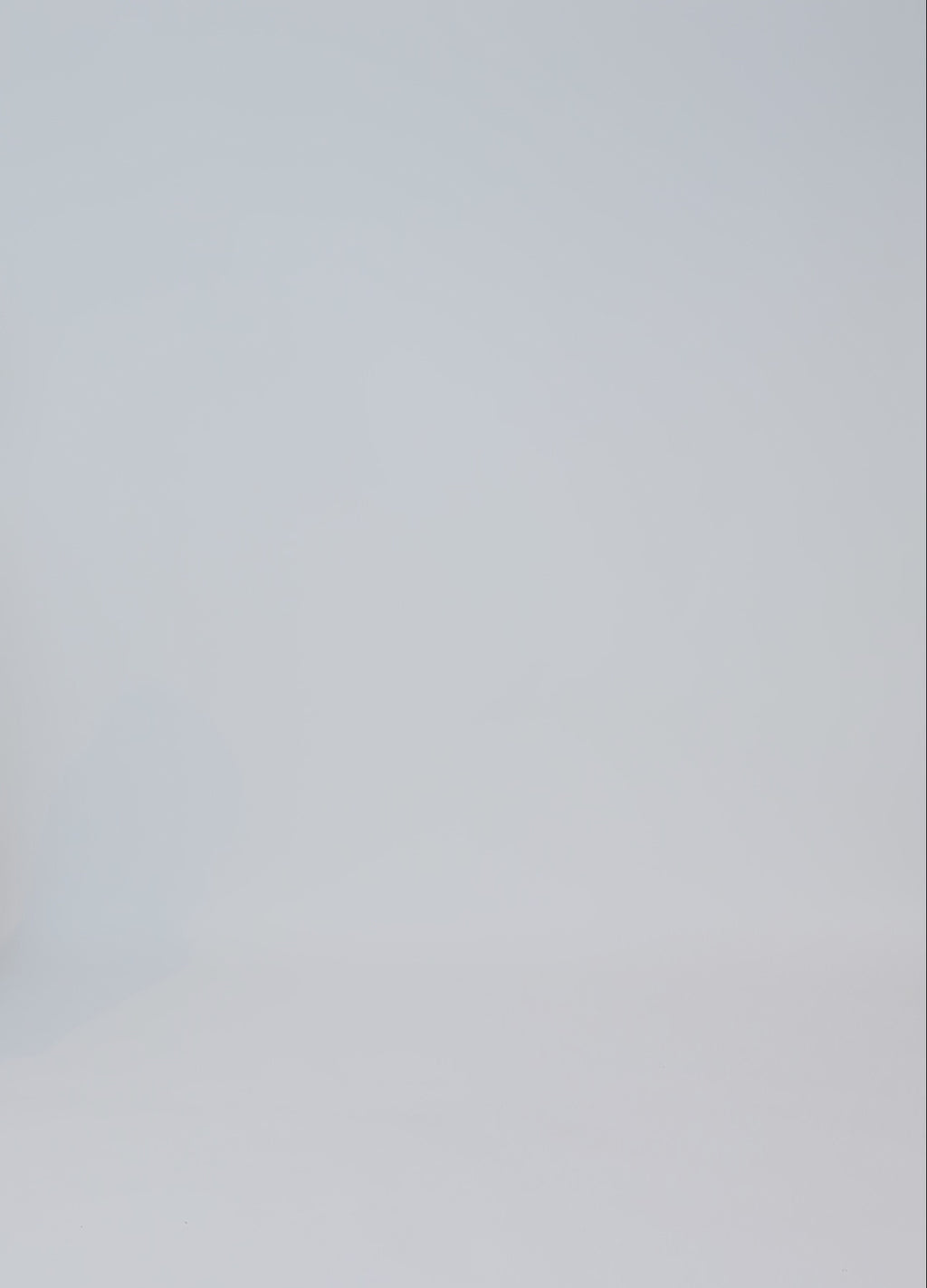 CC Heart CC HEART JAMIE FLEECEVEST Vest Off White - 202