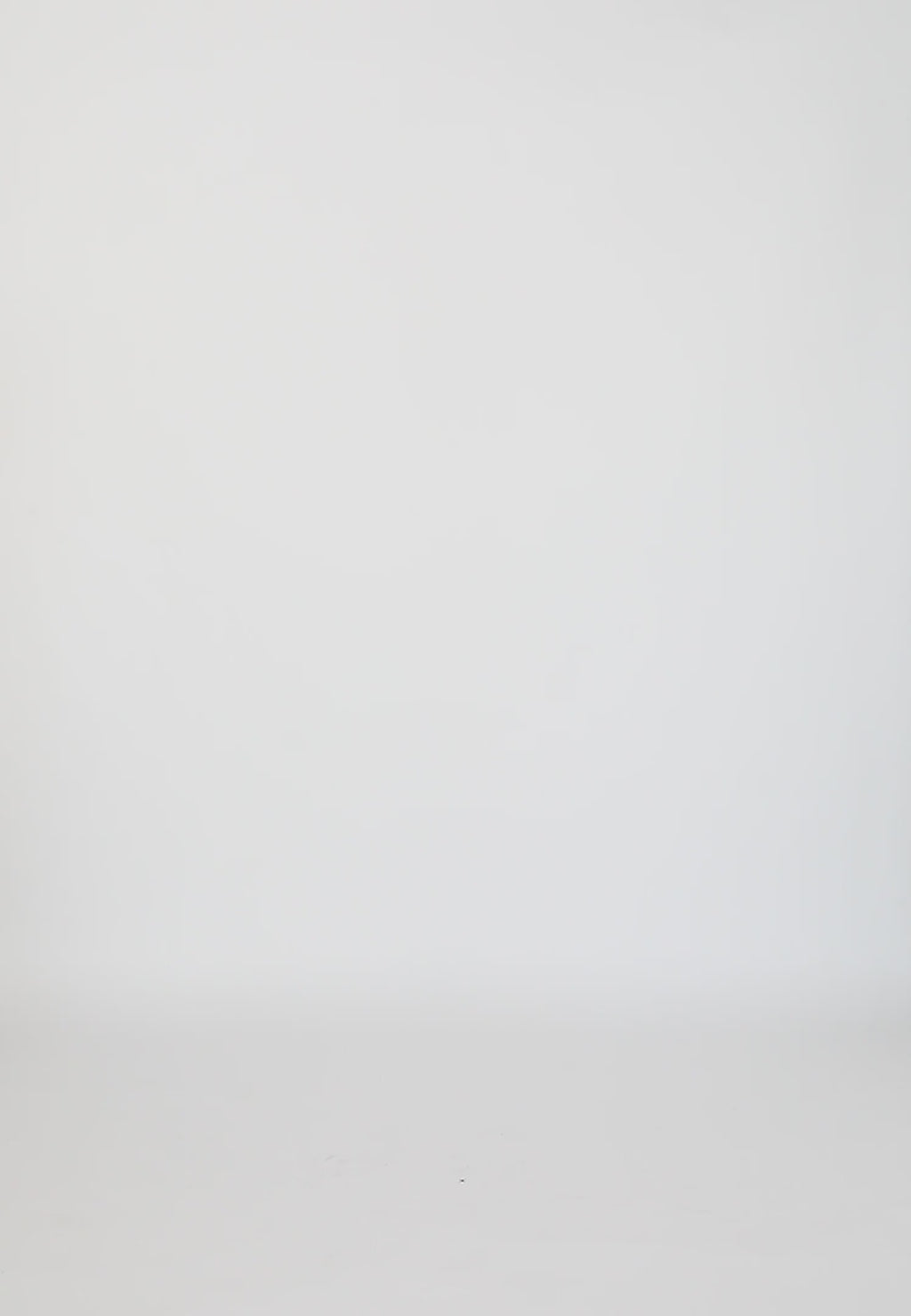 Coster Copenhagen MESH ROSE T-SHIRT - CAP ÆRME Shirt/Blouse Black - 100