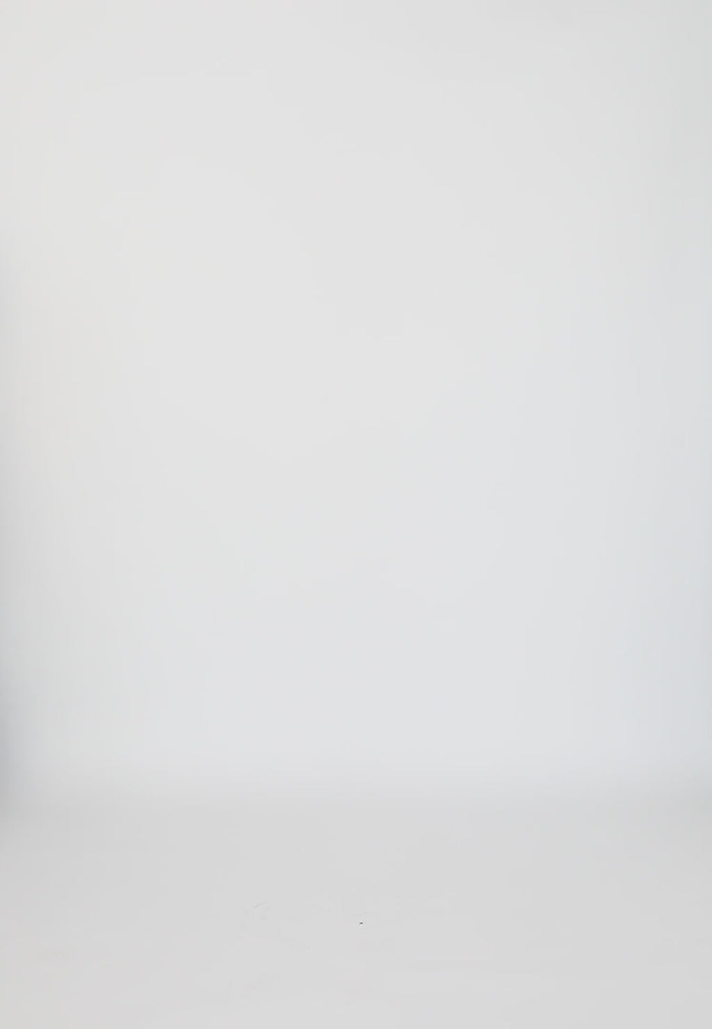 Coster Copenhagen TOP MED BRODERI Shirt/Blouse White - 200