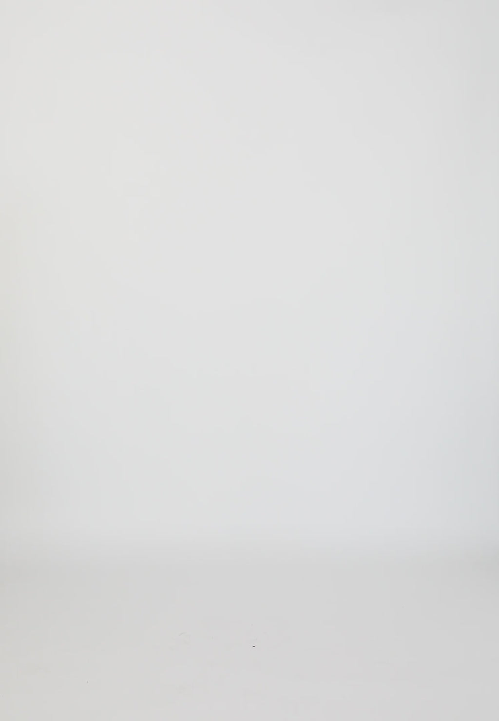 Coster Copenhagen BLUSE MED FLÆSER OG BÅND Shirt/Blouse Mint - 478