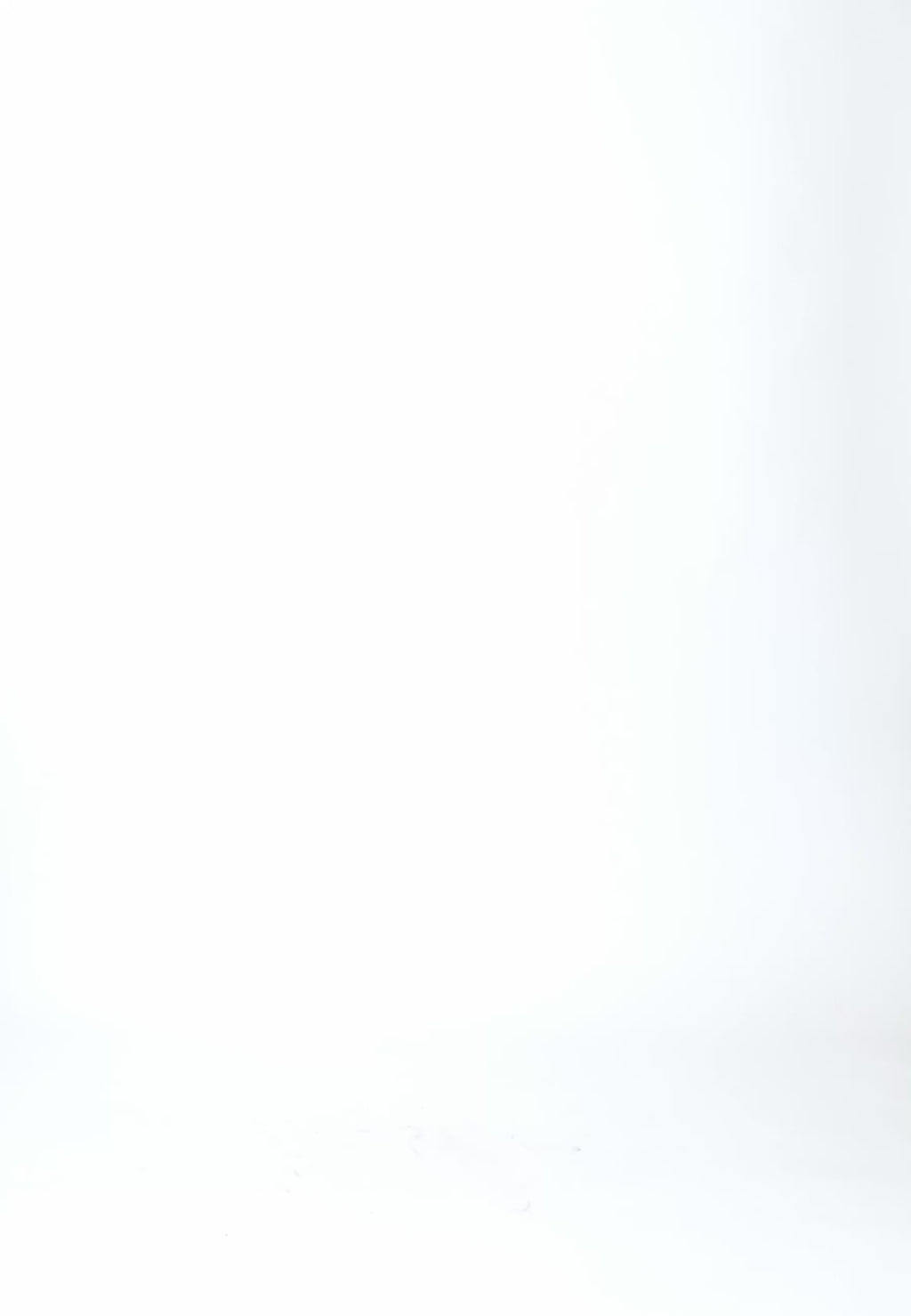 Coster Copenhagen RUNDHALSET STRIK I ALPAKA Knitwear Mocca mousse - 387